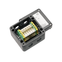 KLIPPON POK1 M16ACSS EX