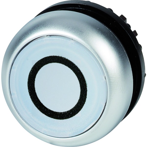 M22-DL-W-X0