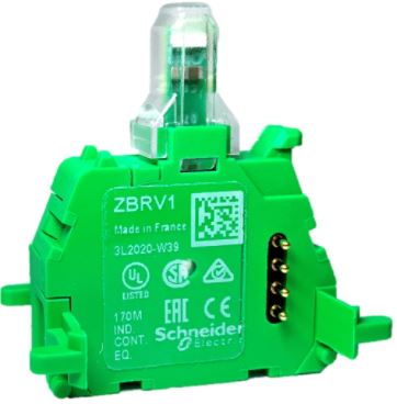 ZBRV1