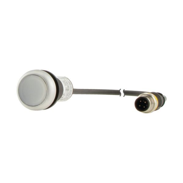 C22-DL-W-K10-24-P1