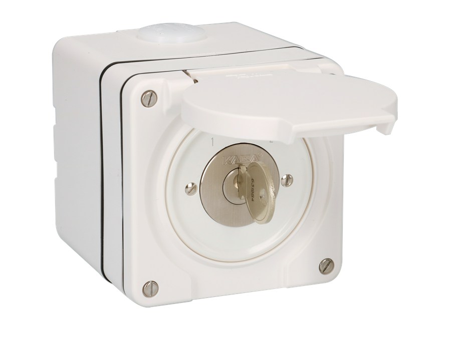 CA10.A715.NAP.Q.SS.61