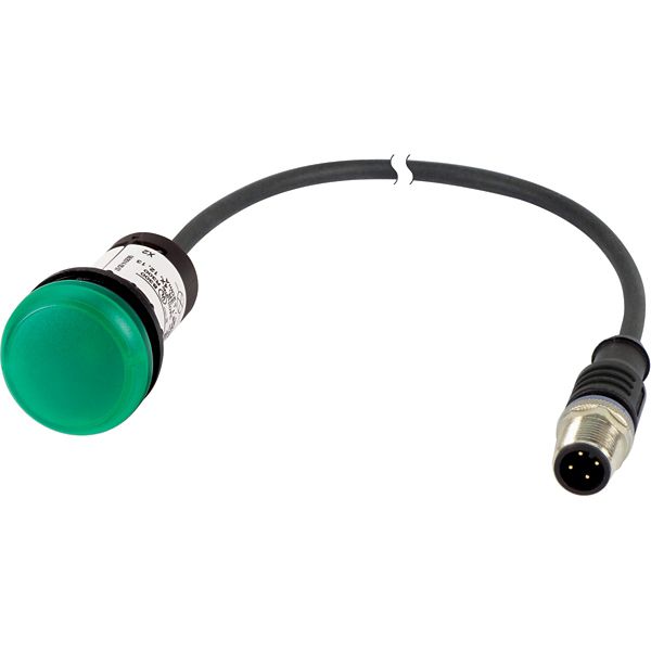 C22-L-G-24-P1