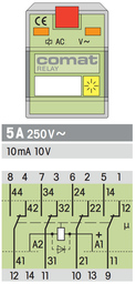 [C9-A41/AC24V] C9-A41/AC24V