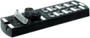 55081