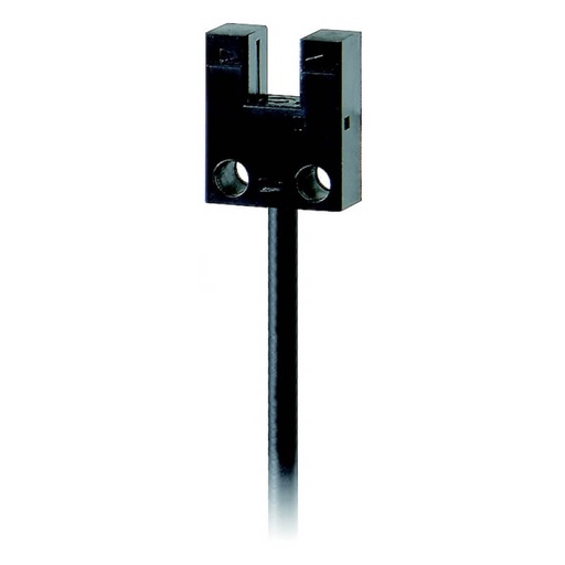 [EE-SX954P-R 1M] 378498