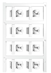 [1025260000] SFC 3/21 MC NE WS