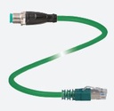 V1SD-G-GN5M-PUR-E1S-V45-G
